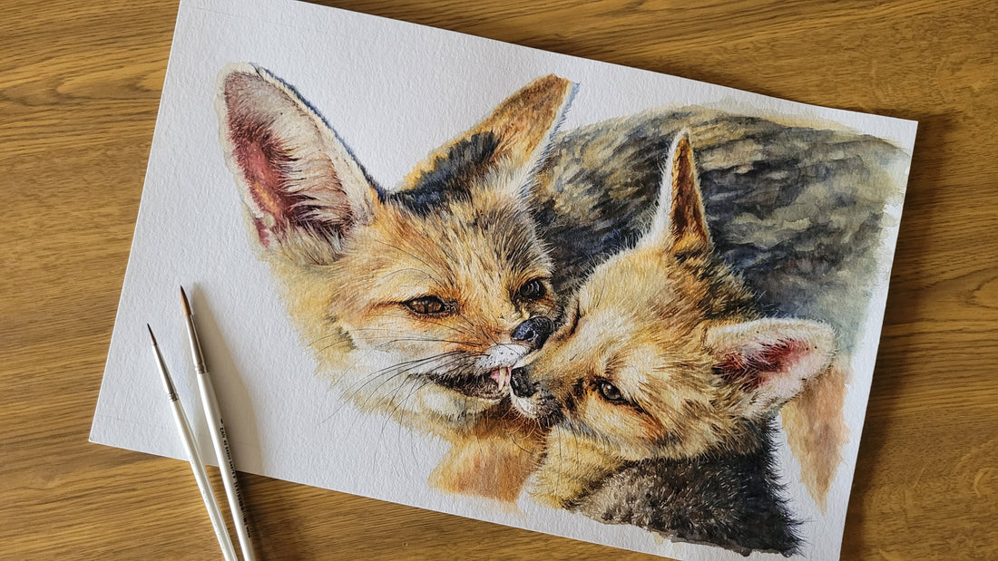 realistic watercolour painting of cape foxes_001