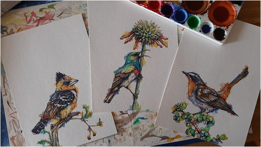 Downloadable wall art: SA's favourite garden birds