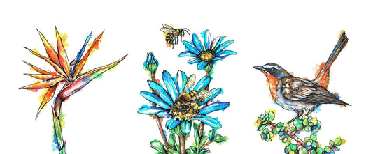 colourful downloadable wall art