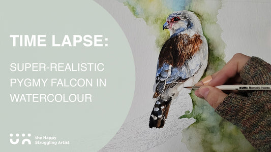 Introducing "Small Packages", the dynamite Pygmy Falcon