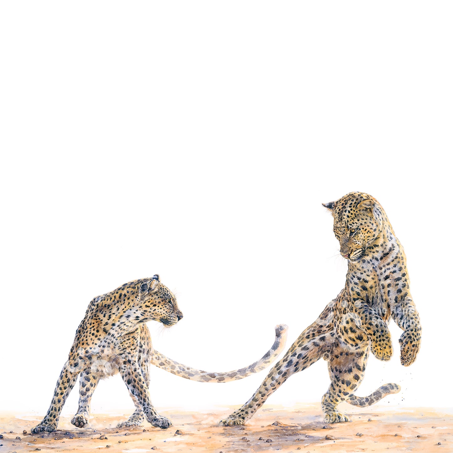 Frolic (Original)