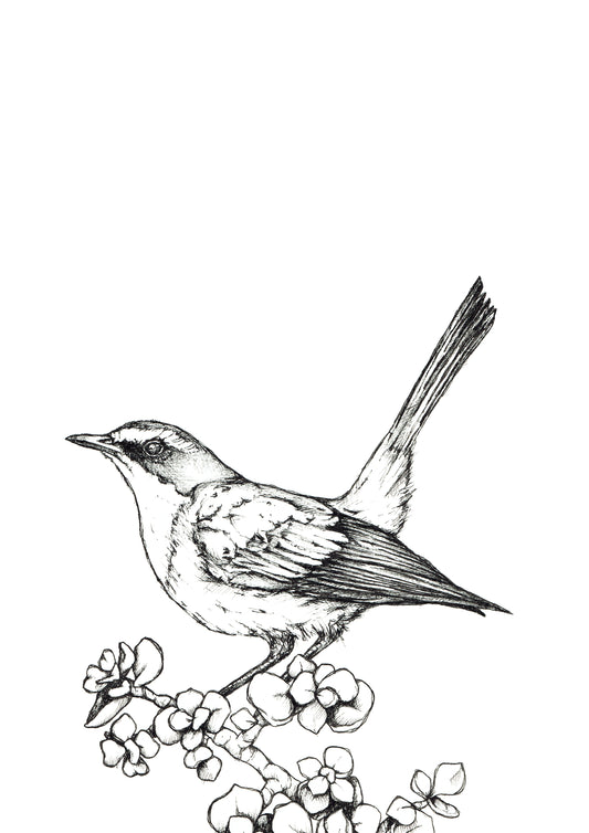 Monochrome Cape Robin-Chat Downloadable Wall Art