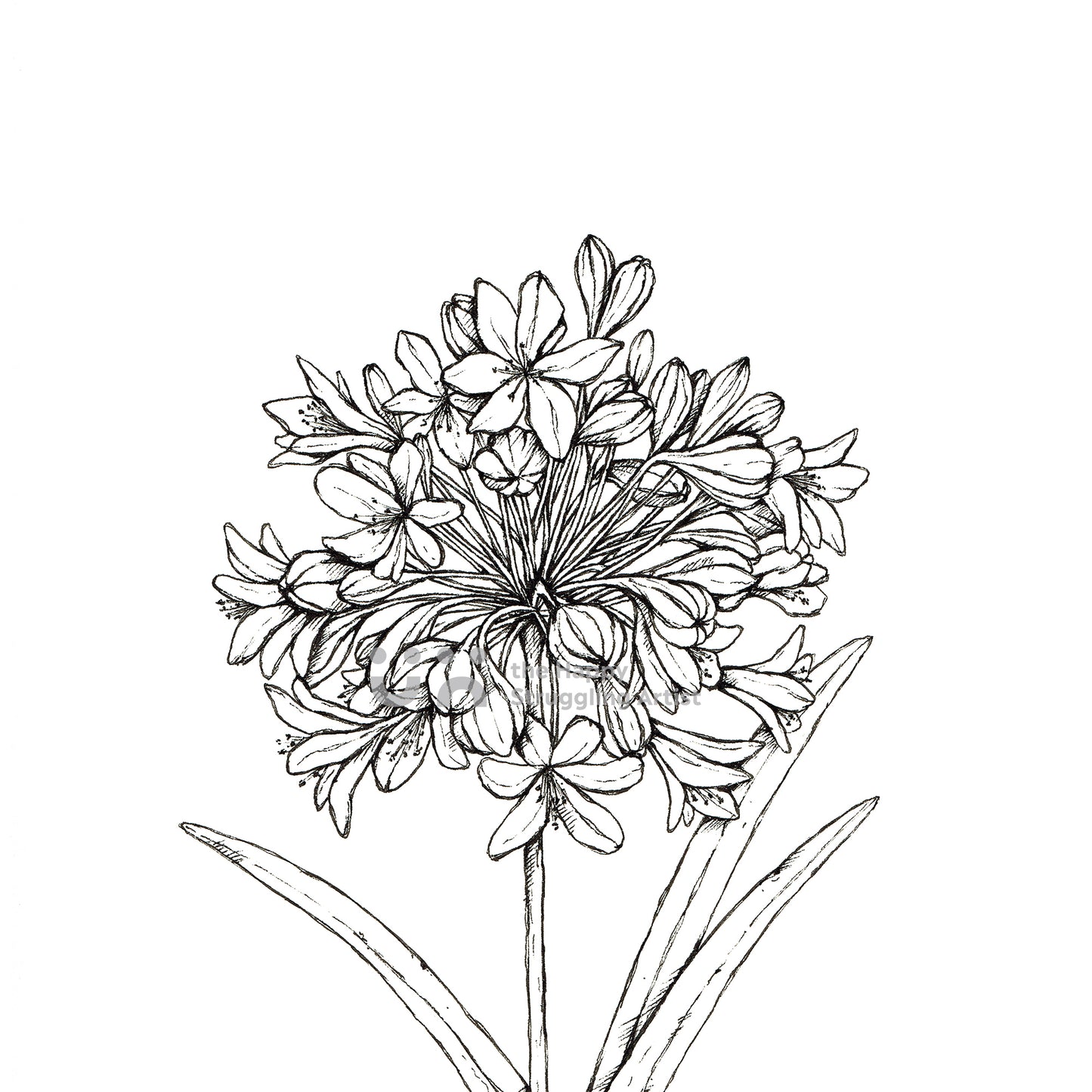 Monochrome Agapanthus Downloadable Wall Art