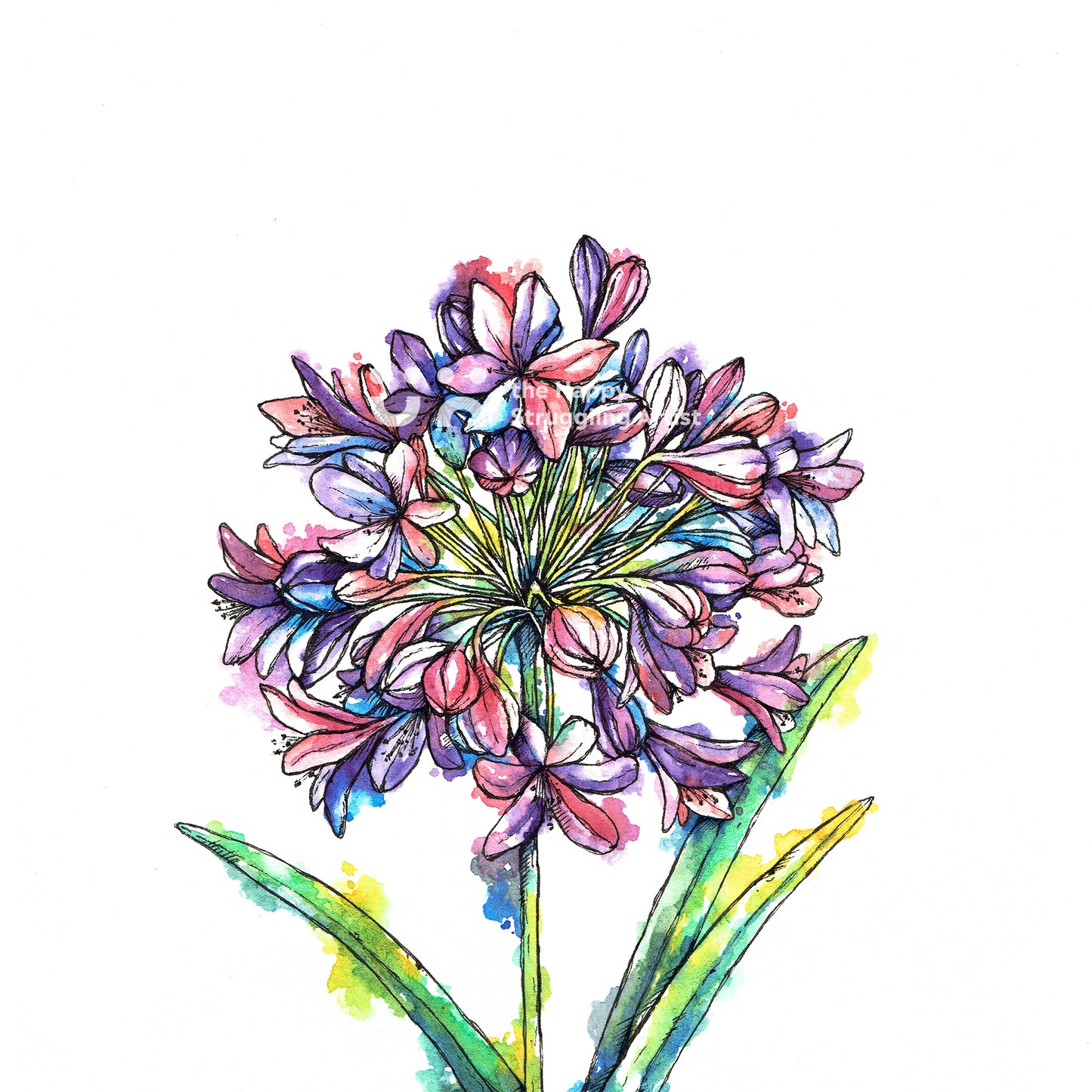 Agapanthus Downloadable Wall Art