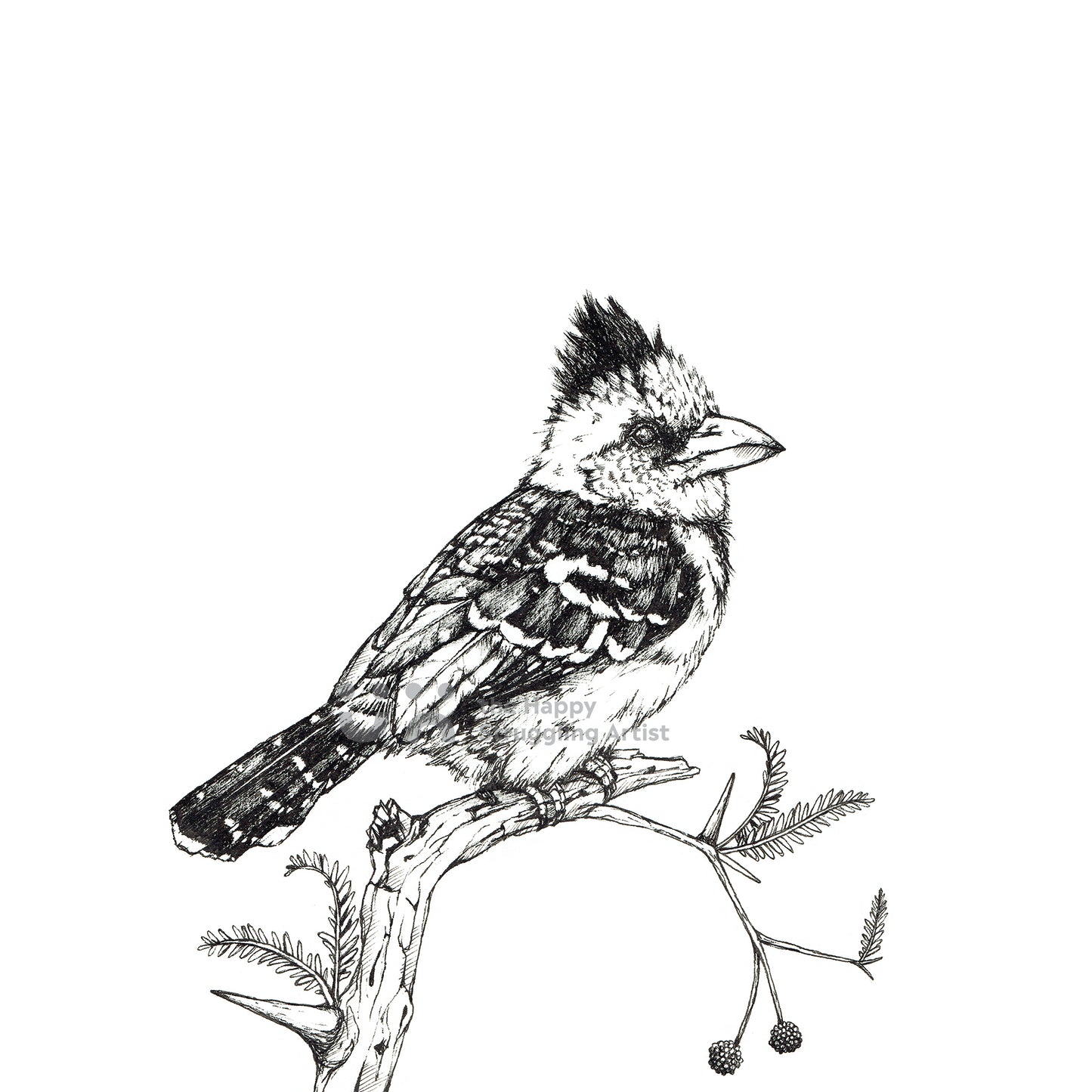 Monochrome Downloadable Wall Art: Set of 3 SA Birds
