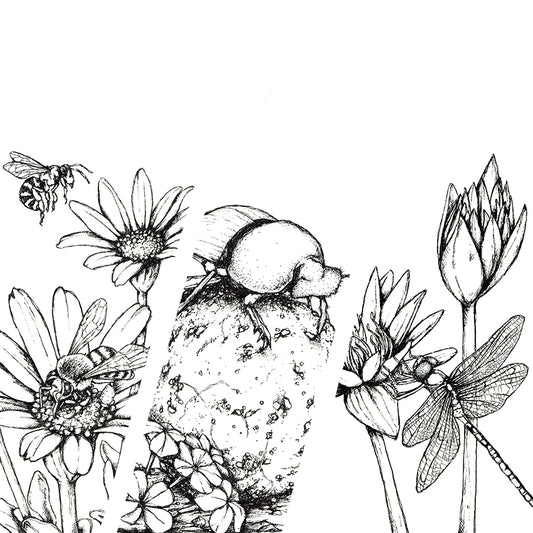 Monochrome Downloadable Wall Art: Set of 3 SA Insects