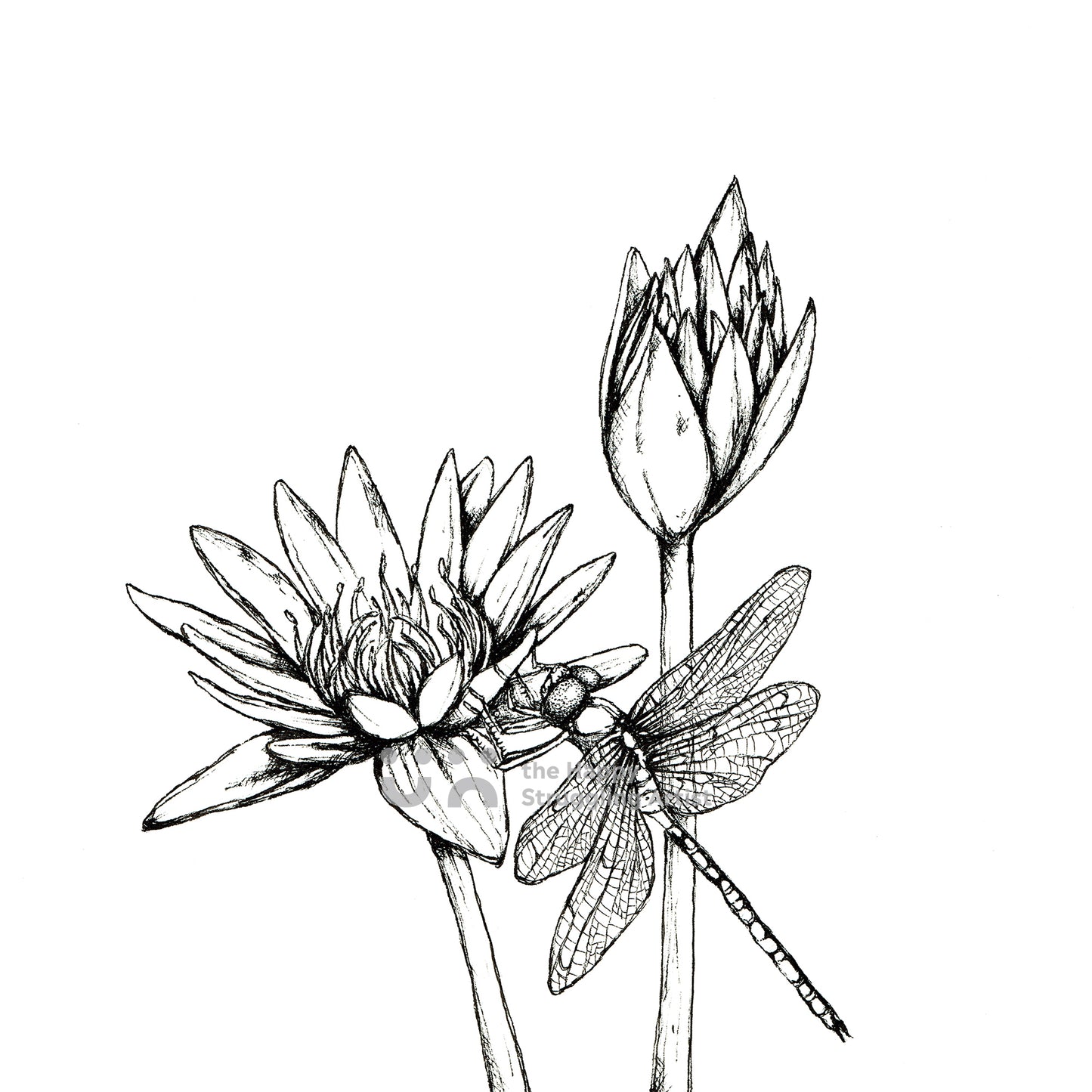 Monochrome Dragonfly Downloadable Wall Art