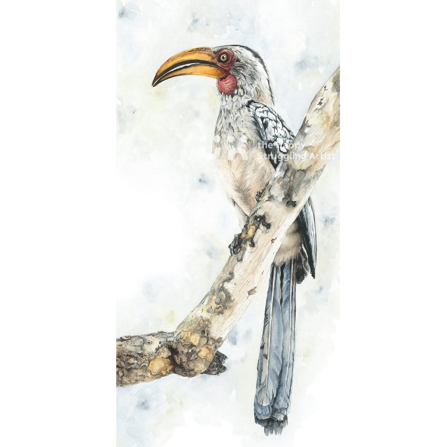 In Fine Feather