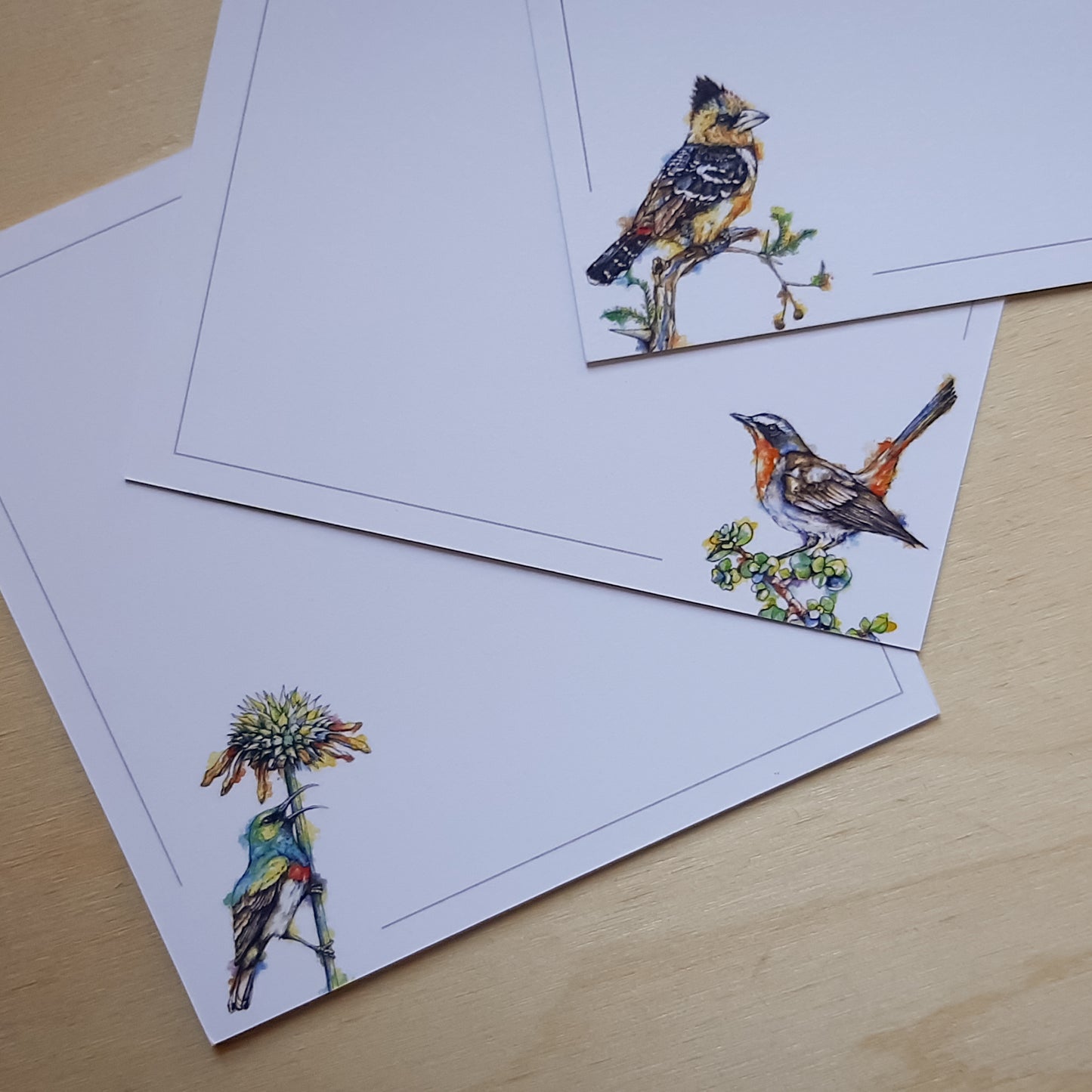 Note card refill pack