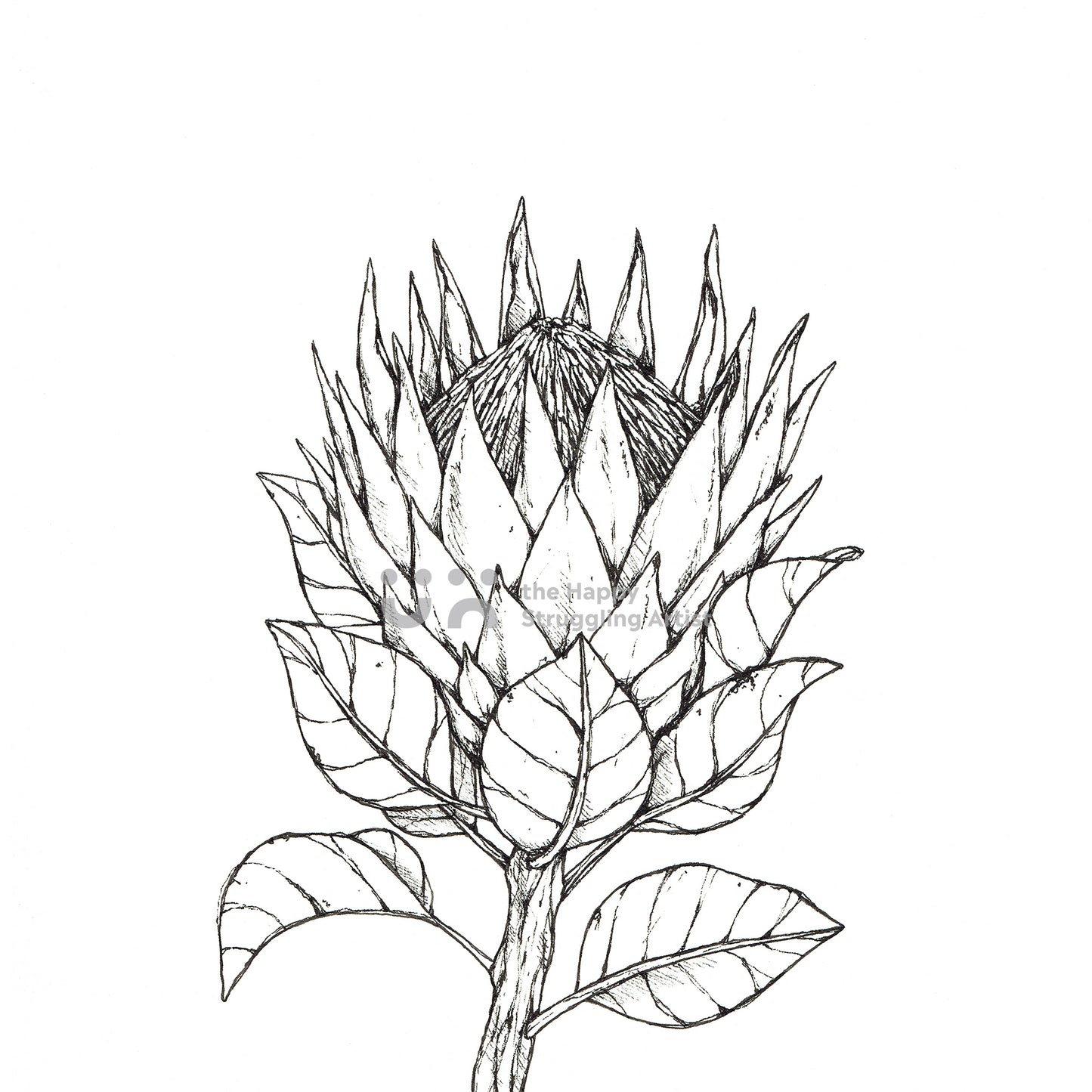Monochrome King Protea Downloadable Wall Art