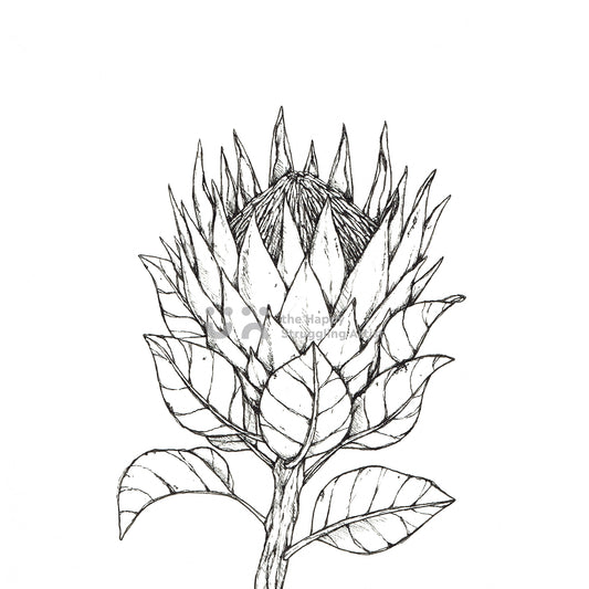 Monochrome King Protea Downloadable Wall Art