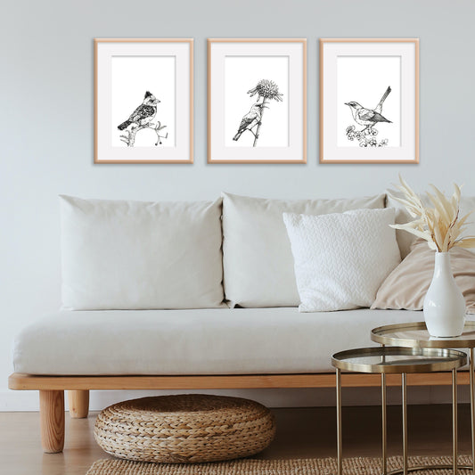 Monochrome Barbet Downloadable Wall Art