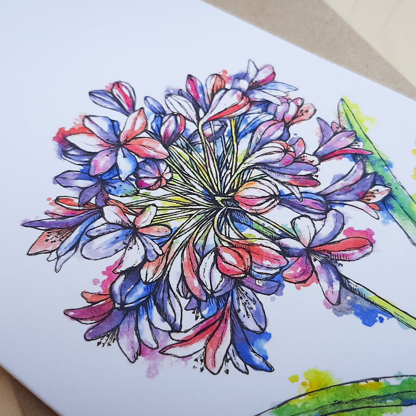 Greeting Card: Agapanthus