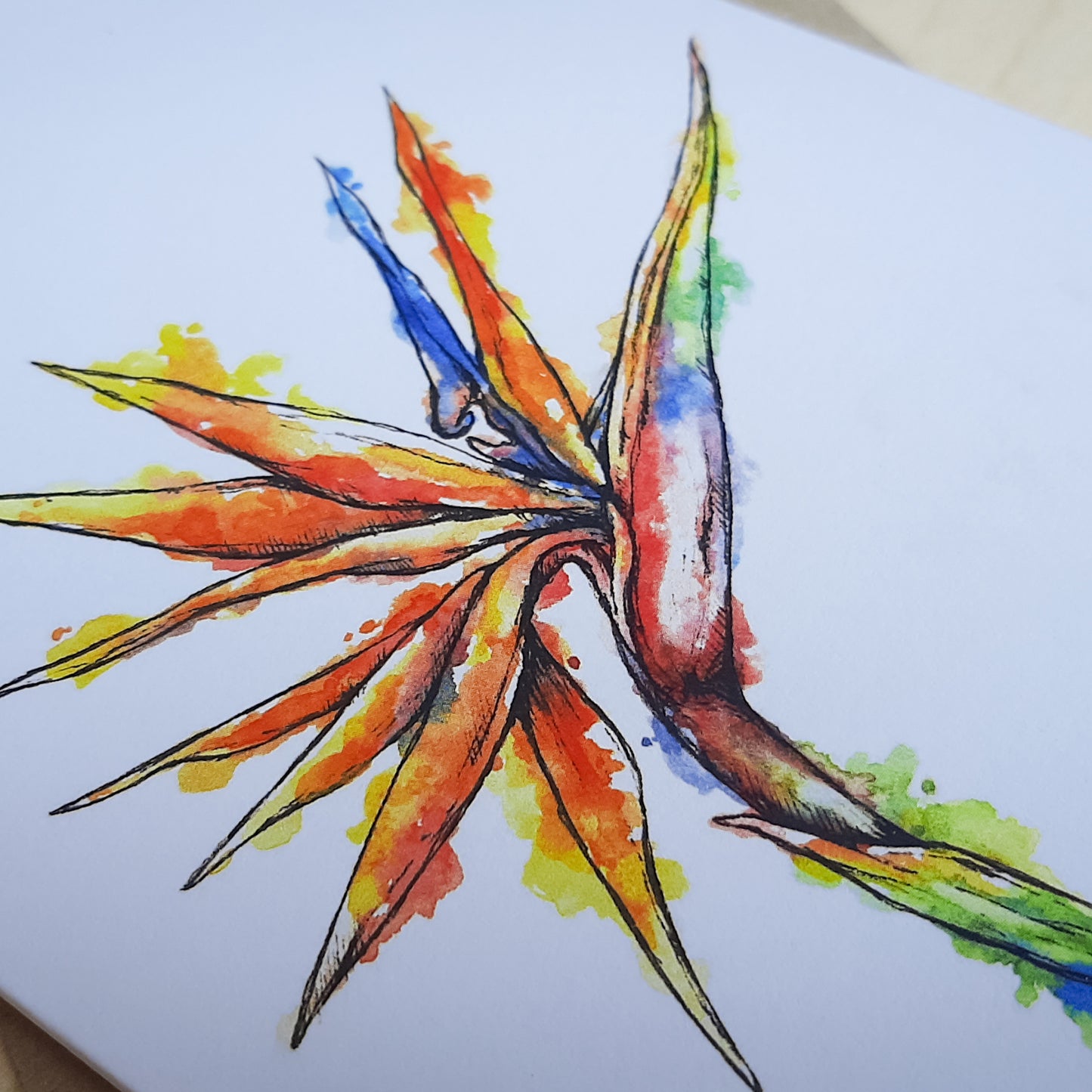 Greeting Card: Strelitzia