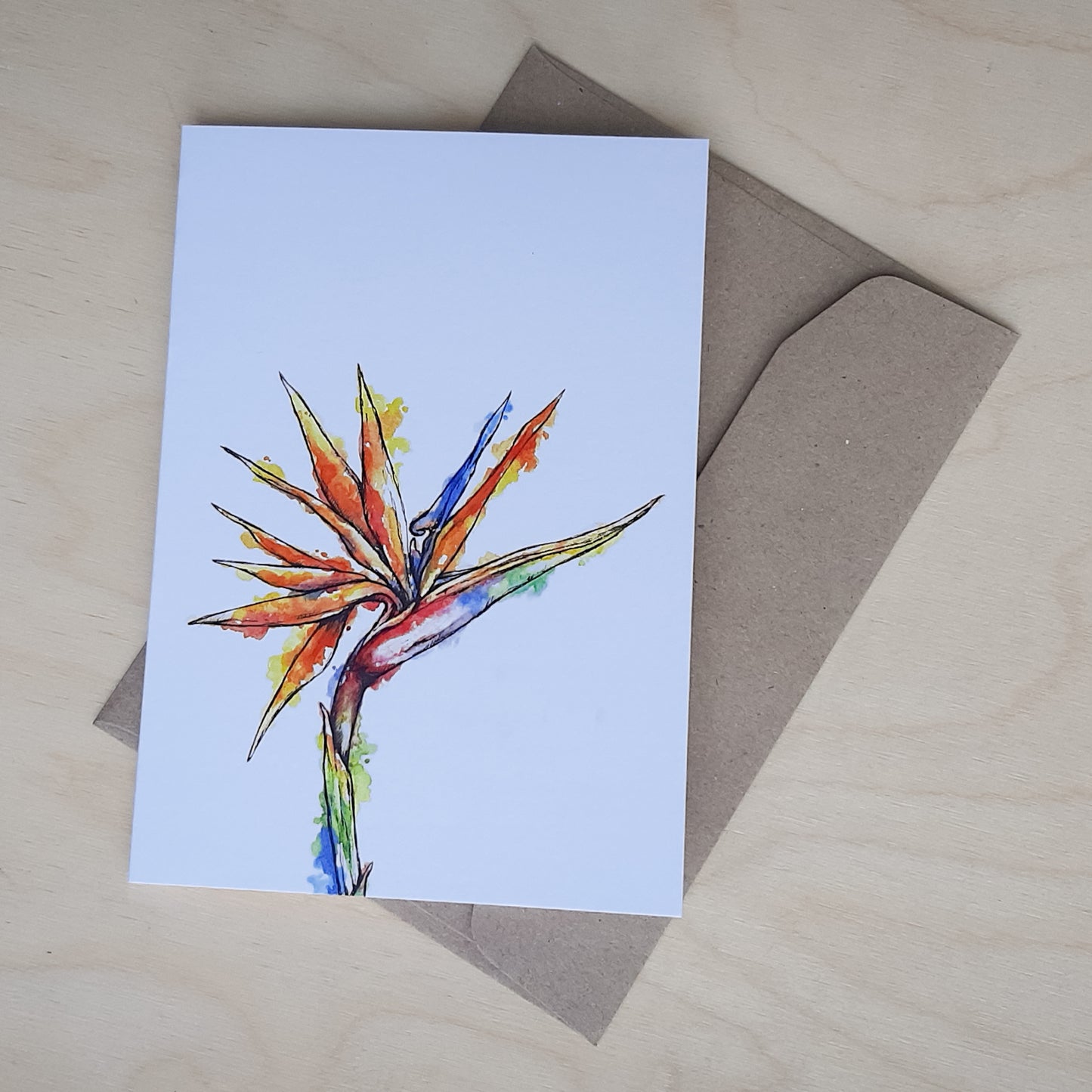 Greeting Card: Strelitzia