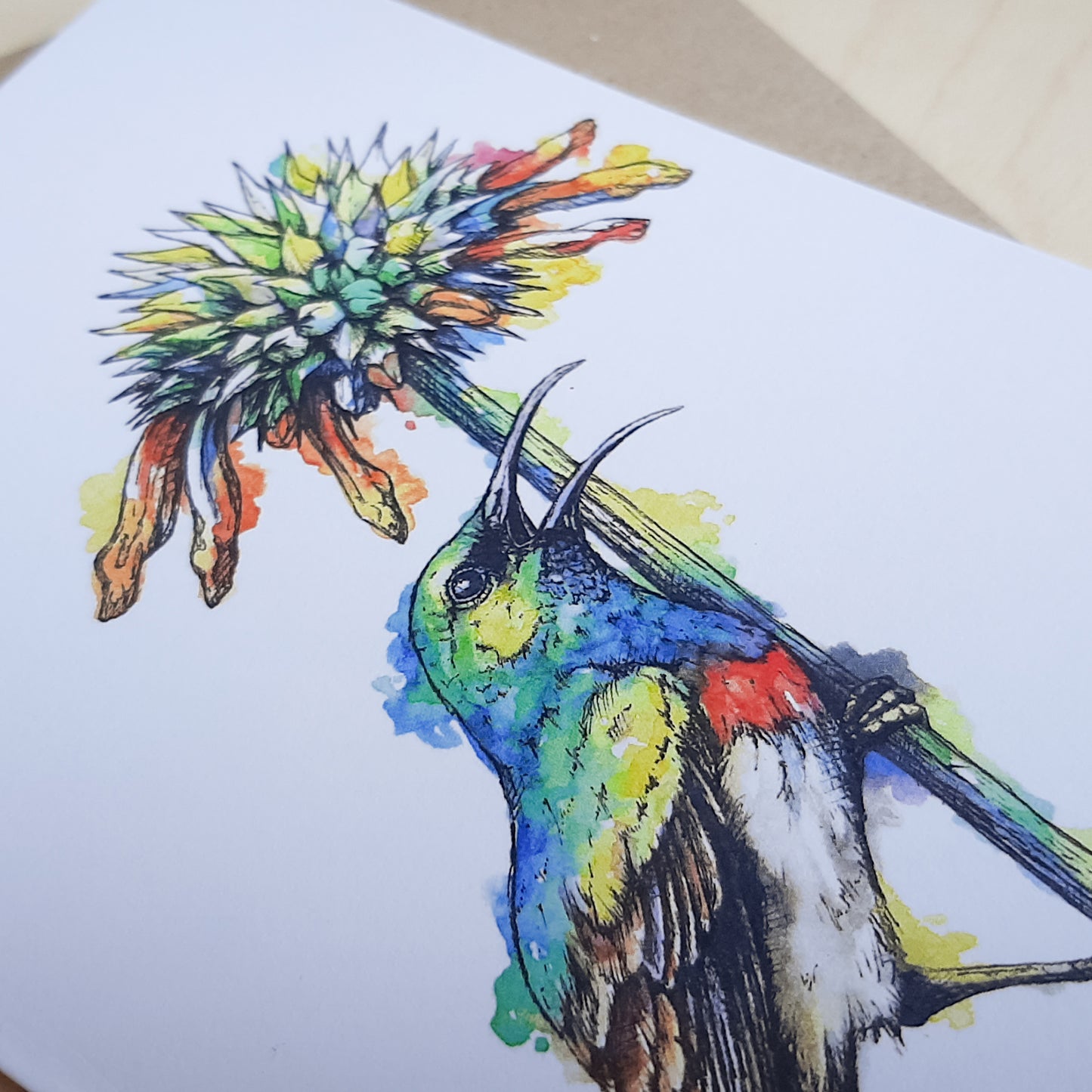 Greeting Card: Sunbird