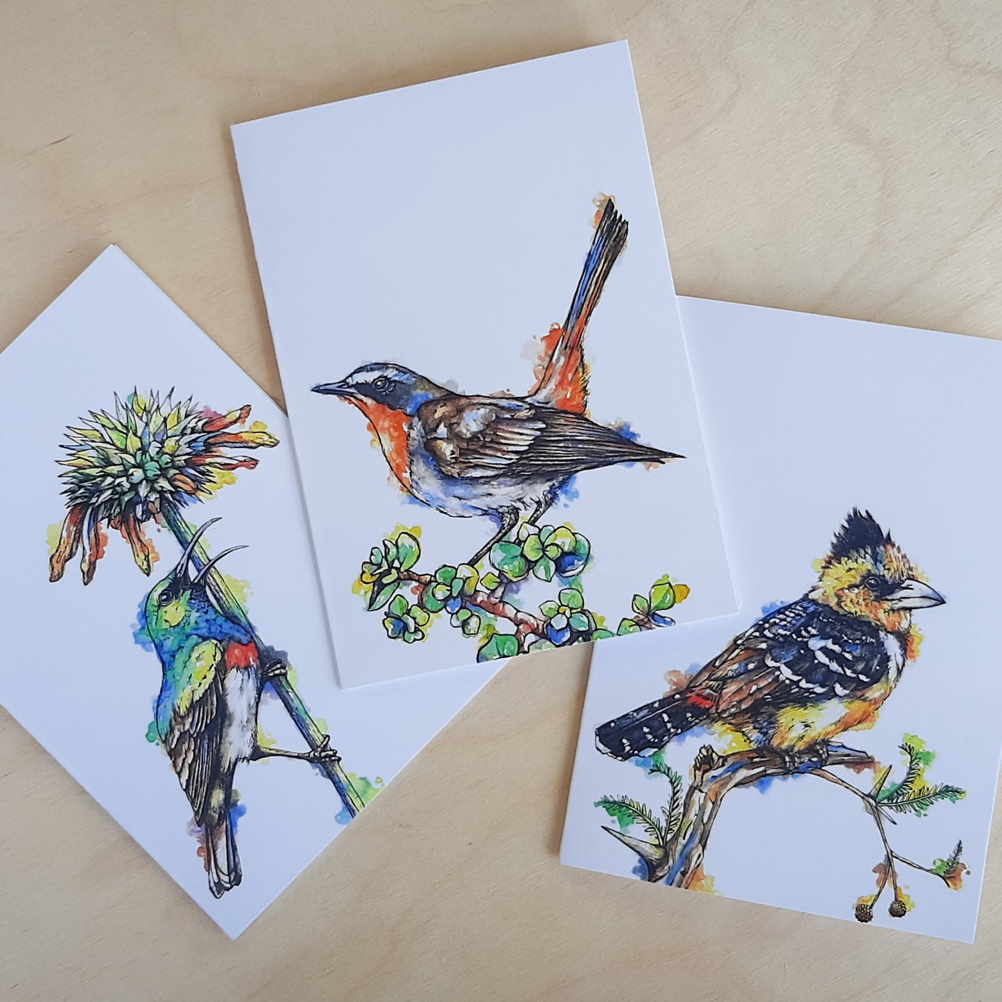 Greeting Cards: 3-Pack