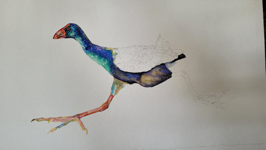Why did the Swamphen cross the road?