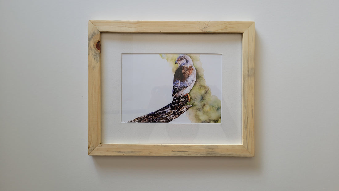Frame your "little guys"!