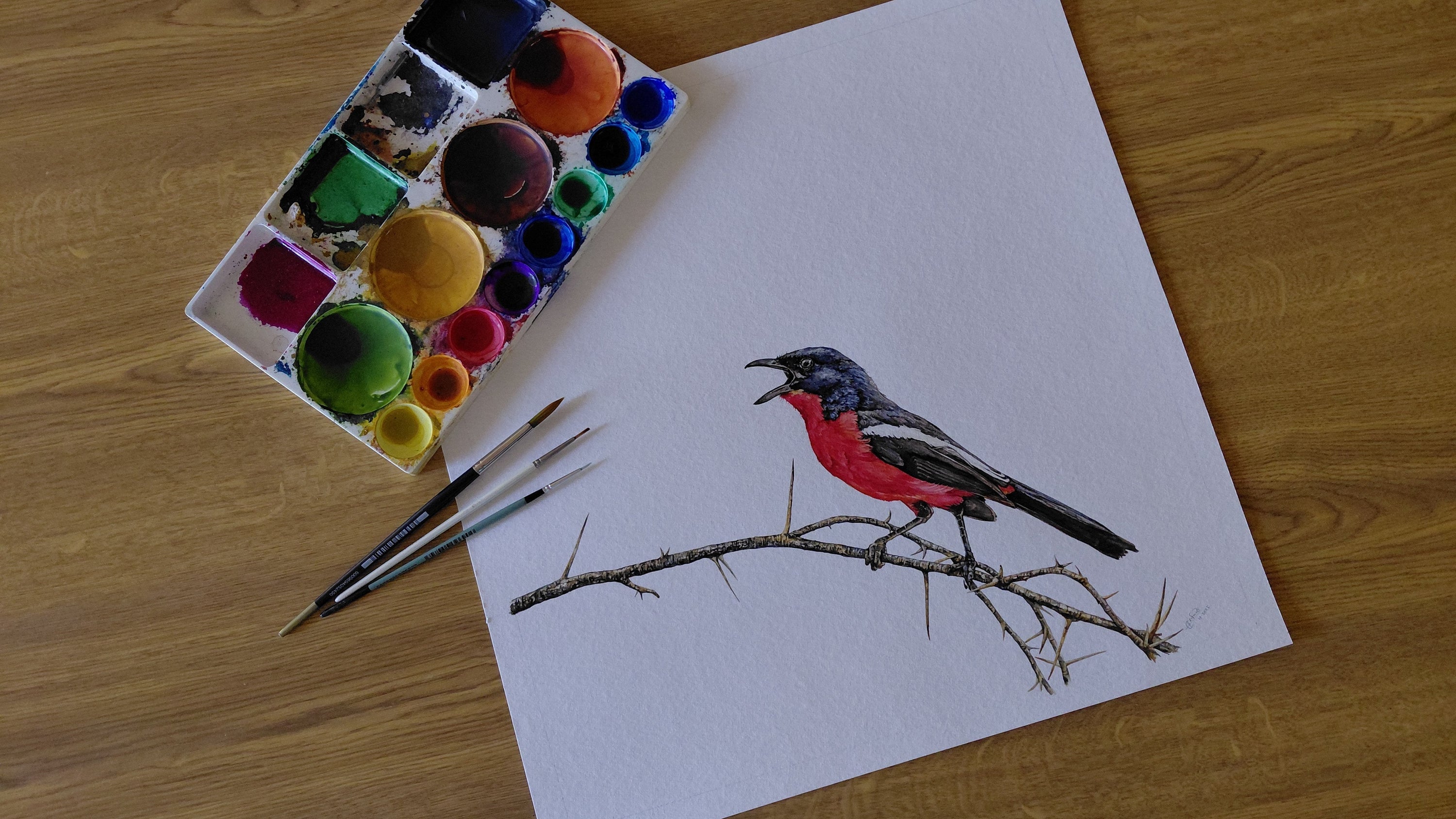 Introducing: quot Rhapsody in Red quot The Happy Struggling Artist