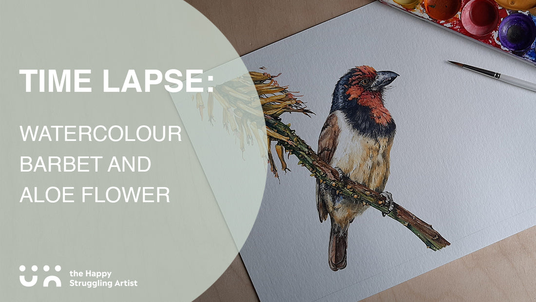 "Vibrant" time lapse: A barbet in super speed!