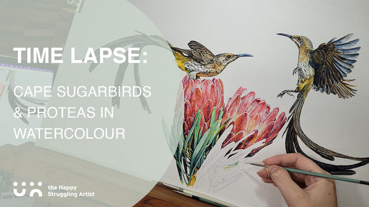 Sexy sugarbirds in swift time lapse