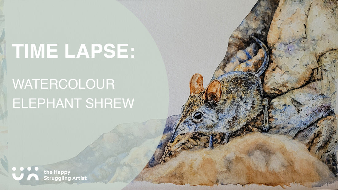 "Nosy" the Elephant Shrew in time lapse