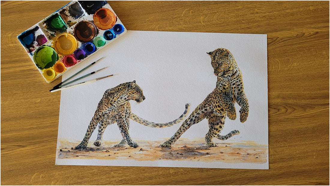 Introducing "Frolic": The playful felines