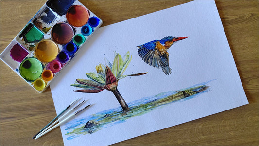 malachite kingfisher and lily in watercolour 005