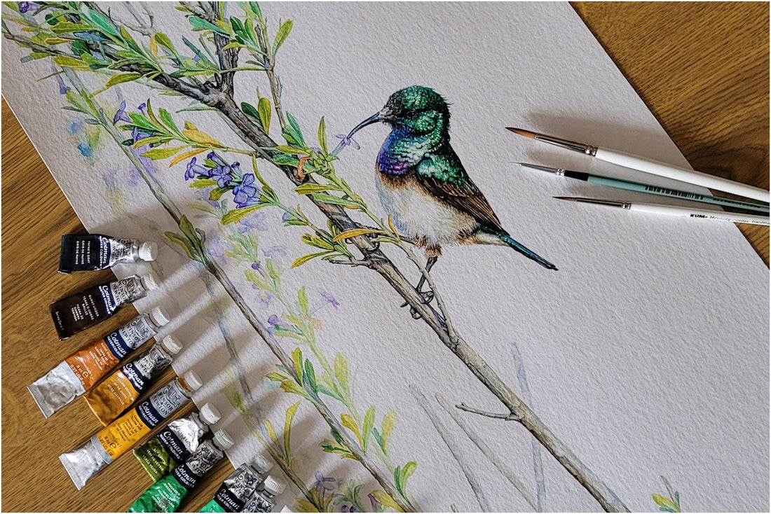 sunbird watercolour painting 018