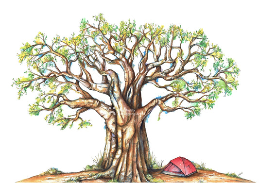 Written in the branches of a baobab
