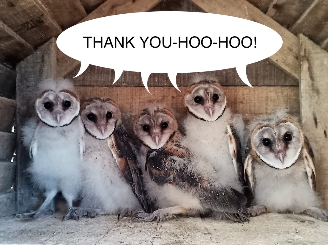 Thank you-hoo-hoo for helping the owls!