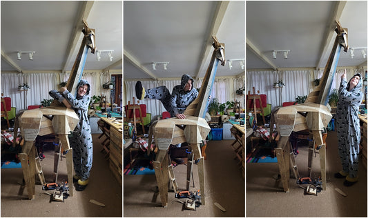 The GIRAFFE in the room...