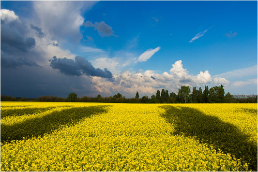 Save 10%, 10% to save Ukraine