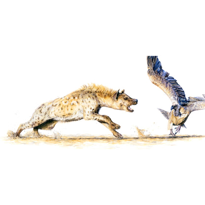 Fight or Flight