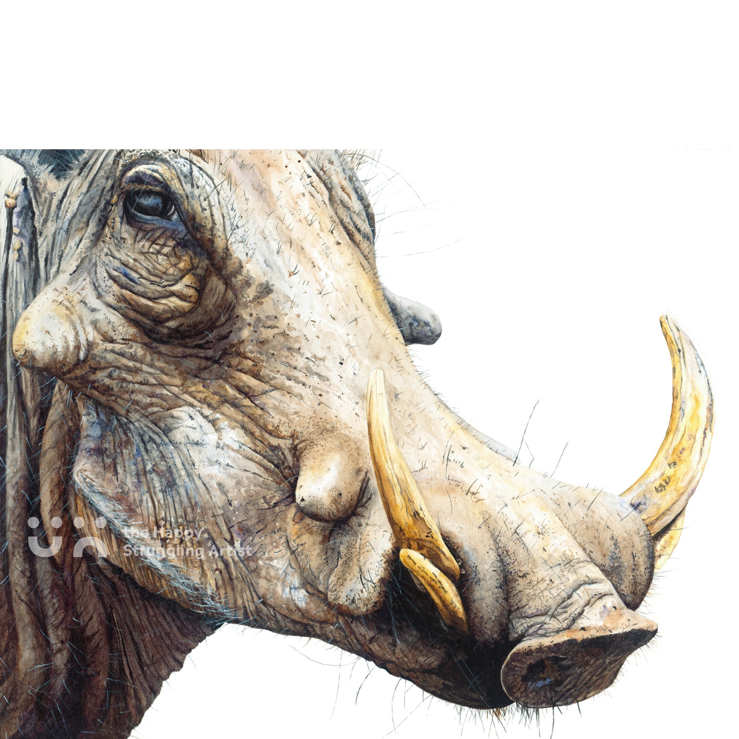    5OClockShadow_Warthog