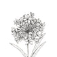 Monochrome Downloadable Wall Art: Set of 3 SA Flowers