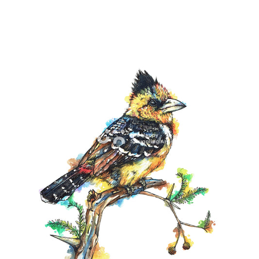 Barbet Downloadable Wall Art