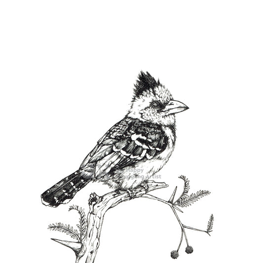 Monochrome Barbet Downloadable Wall Art