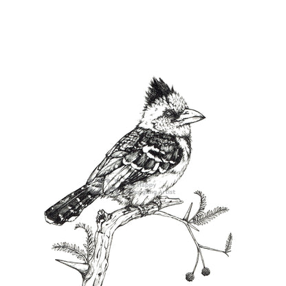 Monochrome Downloadable Wall Art: Set of 3 SA Birds