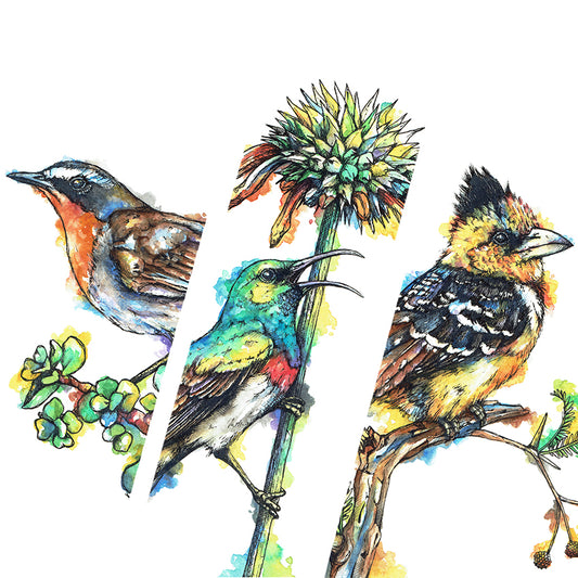 Downloadable Wall Art: Set of 3 SA Birds