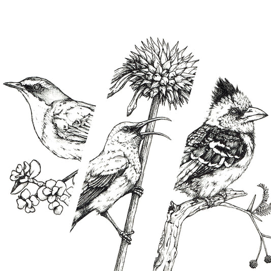 Monochrome Downloadable Wall Art: Set of 3 SA Birds