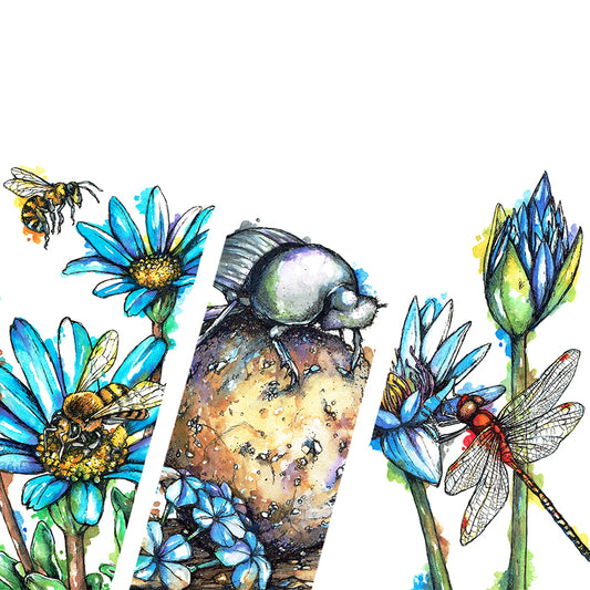 Downloadable Wall Art: Set of 3 SA Insects