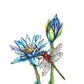 Dragonfly Downloadable Wall Art