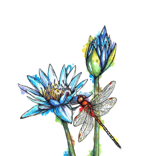 Dragonfly (Original)