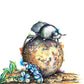 Dung Beetle (Original)