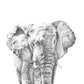 Gentle Giant