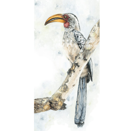 In Fine Feather