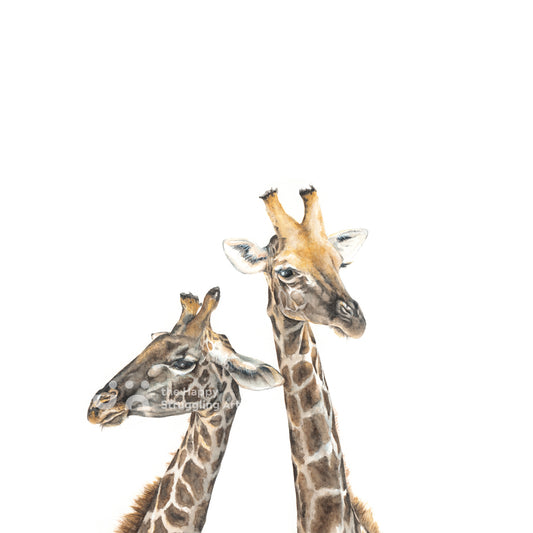 Necking Series