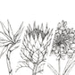 Monochrome Downloadable Wall Art: Set of 3 SA Flowers